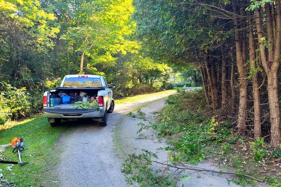 Tree and Shrub Pruning
