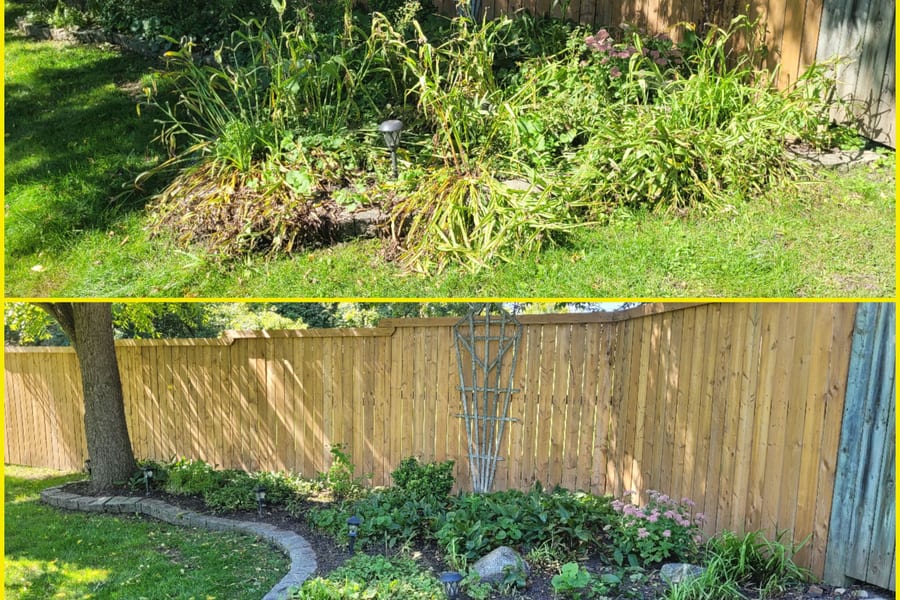 Overgrown Cleanout